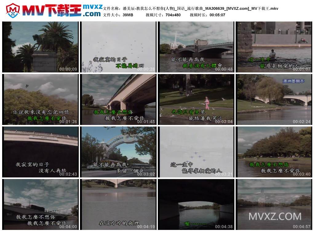 潘美辰-教我怎么不想你(人物)_国语_流行歌曲_MA306639